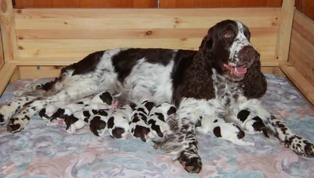 194947-aea9a-65481624-m750x740-ue891e.jp